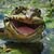 Joe Foulke's profile image