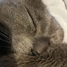 Liisa L.'s profile image