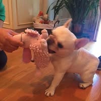Beth Wetzel's profile image