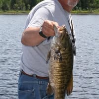 Bill Craig's profile image