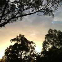 Jo Grisard's profile image