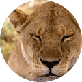 Profile Photo of Lisa Ridgway