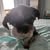 Dave Chopin's profile image