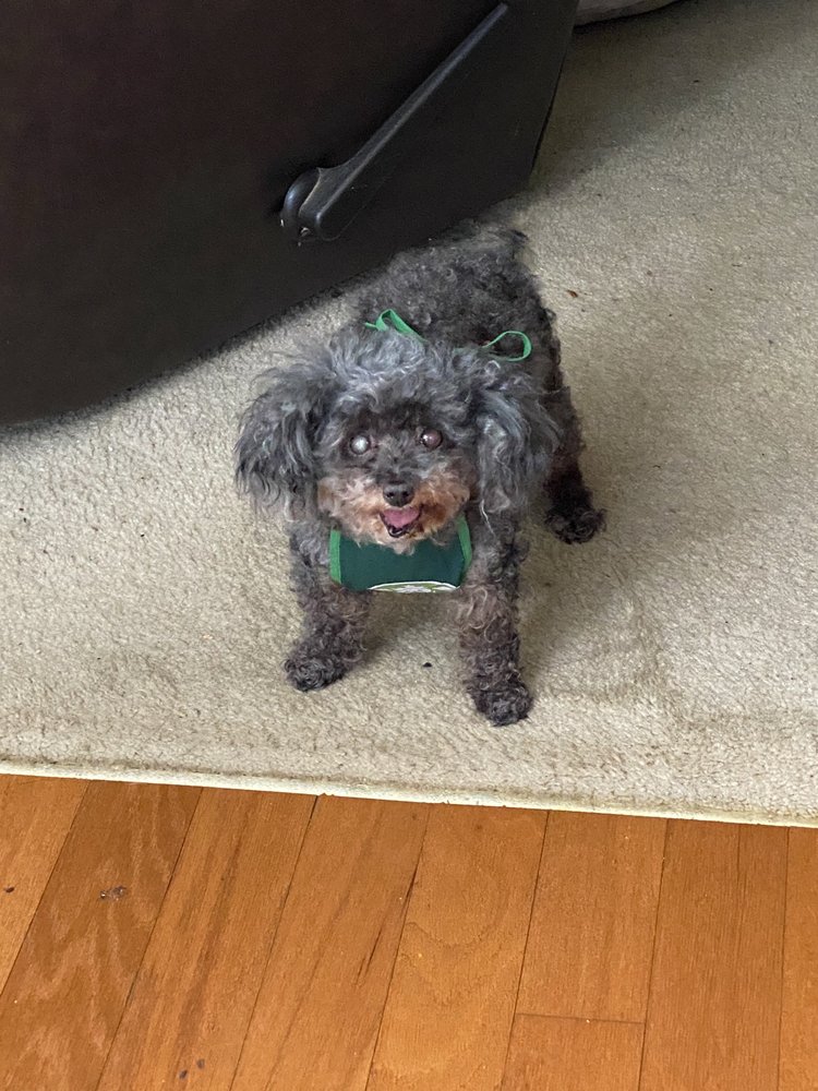 Zachary M.'s profile image