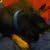 Michael Levitt's profile image