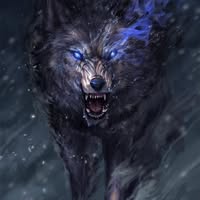 Jeff Shawl's profile image