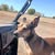 Barbara Kelley's profile image