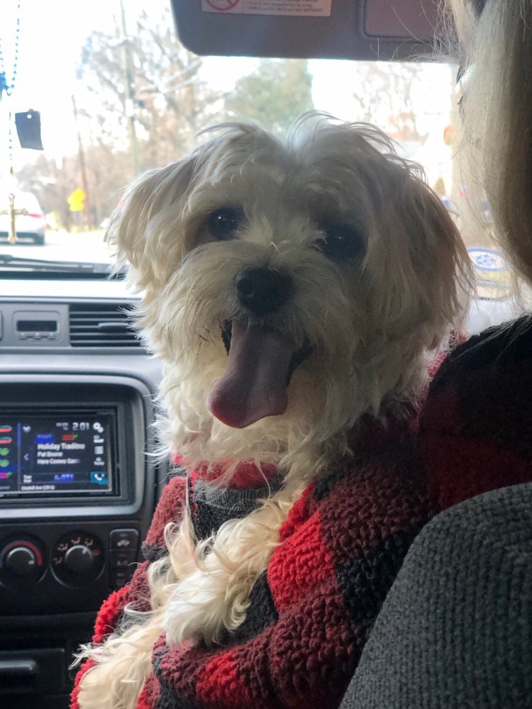 Deborah H.'s profile image