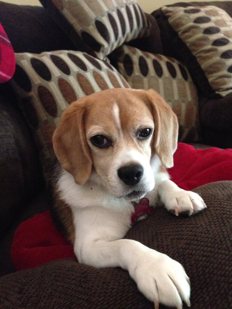 Maggie J.'s profile image