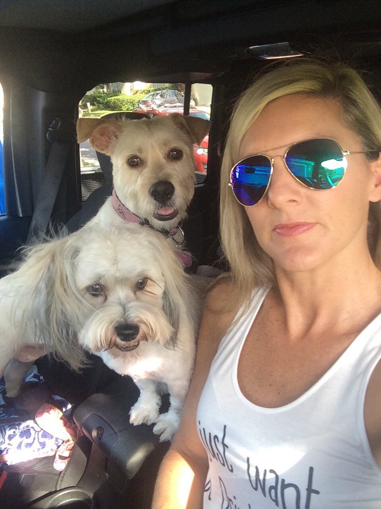 Stacy H.'s profile image