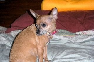 Lynn G.'s profile image