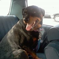 Caryn G.'s profile image