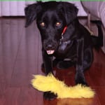 Emily P.'s profile image