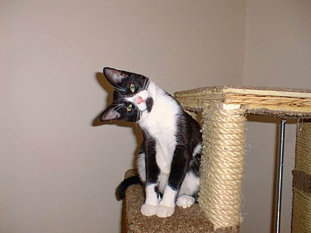 Tracy H.'s profile image