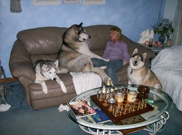 Mary B.'s profile image