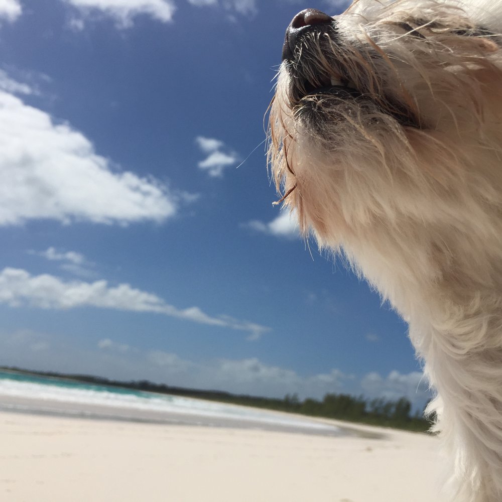 Helen K.'s profile image
