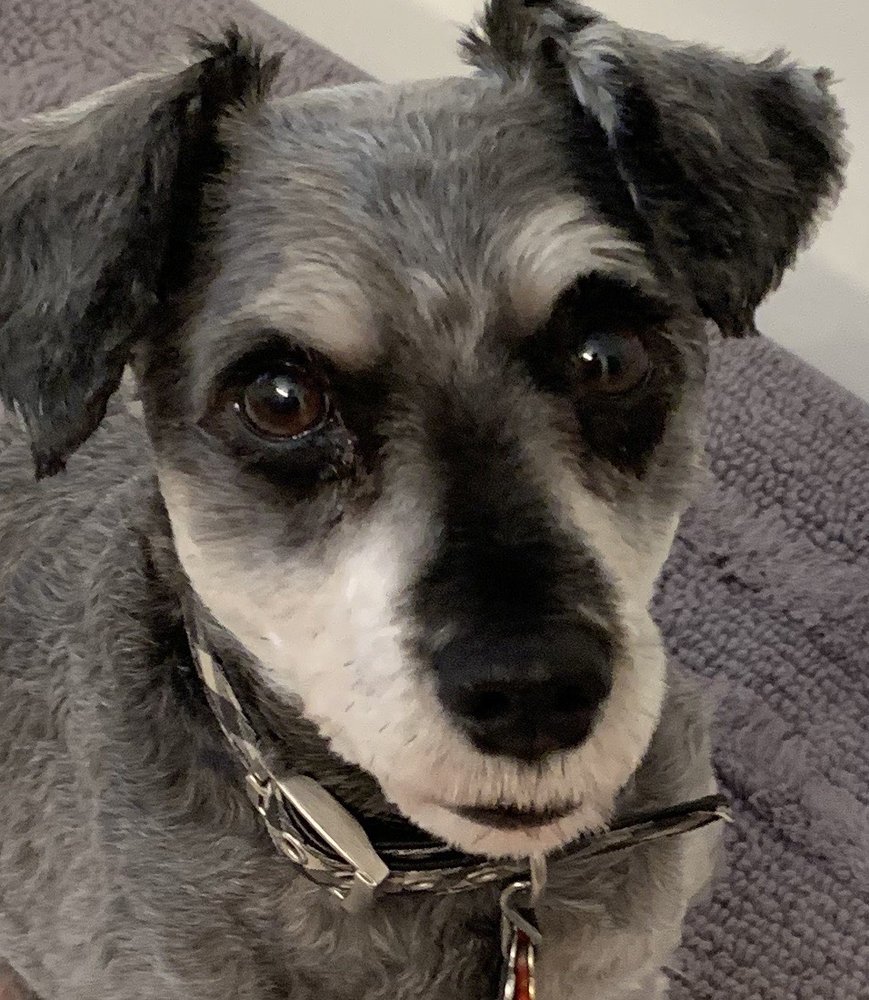 Judith P.'s profile image