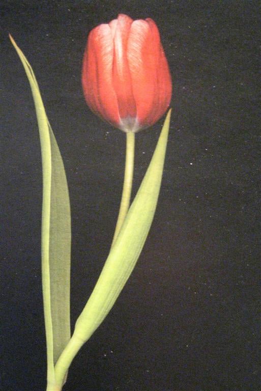 Christine D.'s profile image