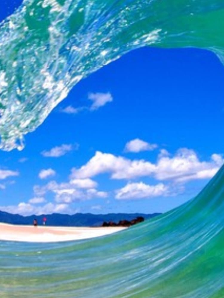 L L.'s profile image