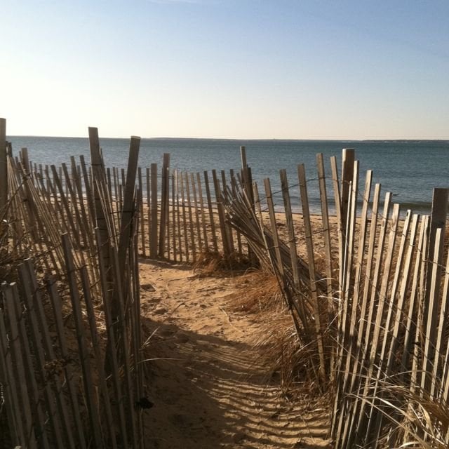 Nicole G.'s profile image