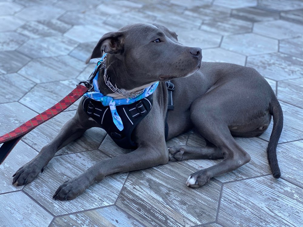 Nicolas Y.'s profile image