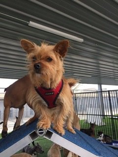 Christina C.'s profile image