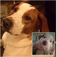 Kelli B.'s profile image