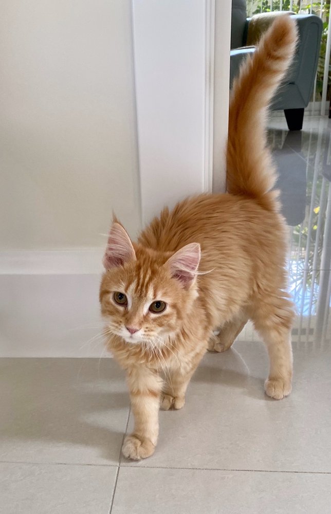 Pat S.'s profile image