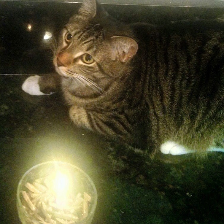 Lisa P.'s profile image