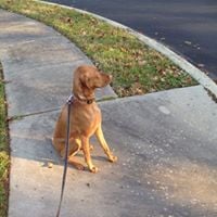 Kevin E.'s profile image