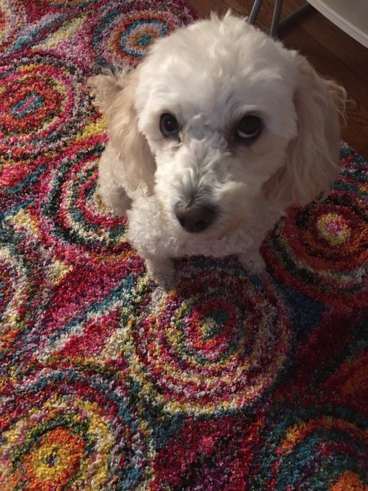 Catalina P.'s profile image