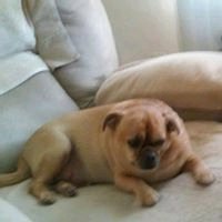 Sheila D.'s profile image