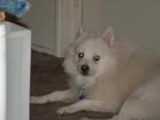 Gordon C.'s profile image