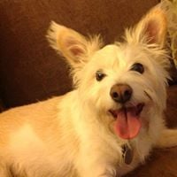Amanda G.'s profile image