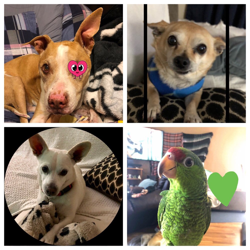 Loretta R.'s profile image