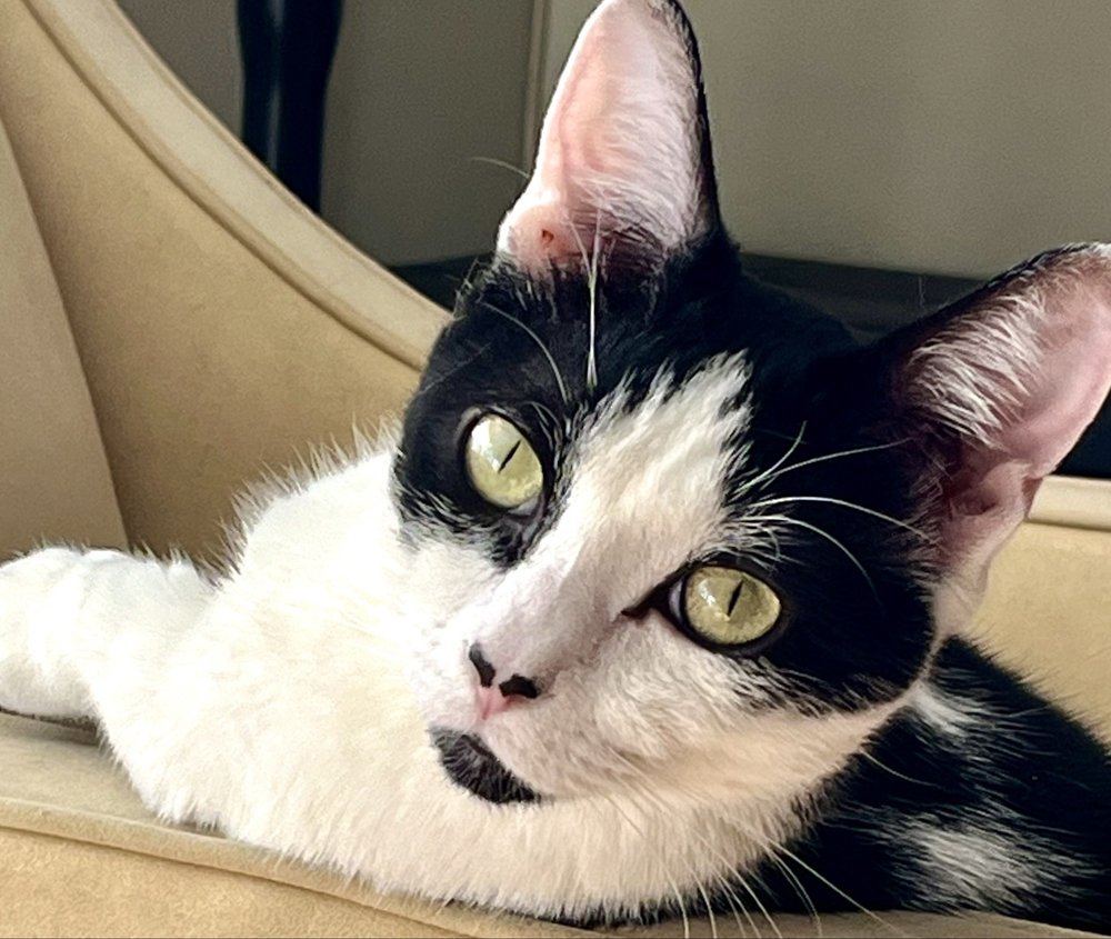 Lara F.'s profile image