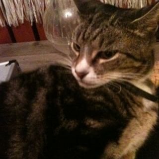 Joe A.'s profile image