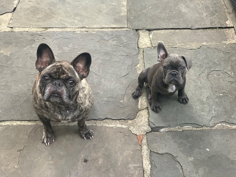 Luisana R.'s profile image