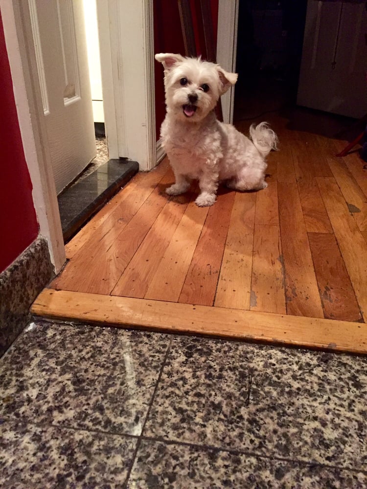 Jenny D.'s profile image