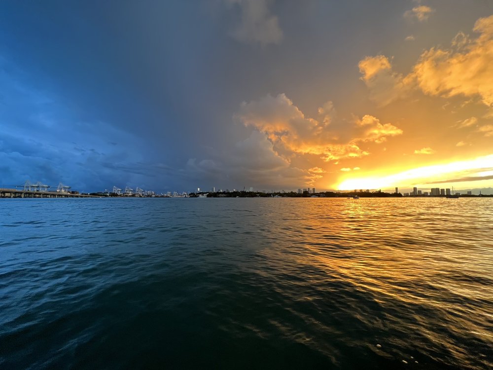 Yarden T.'s profile image