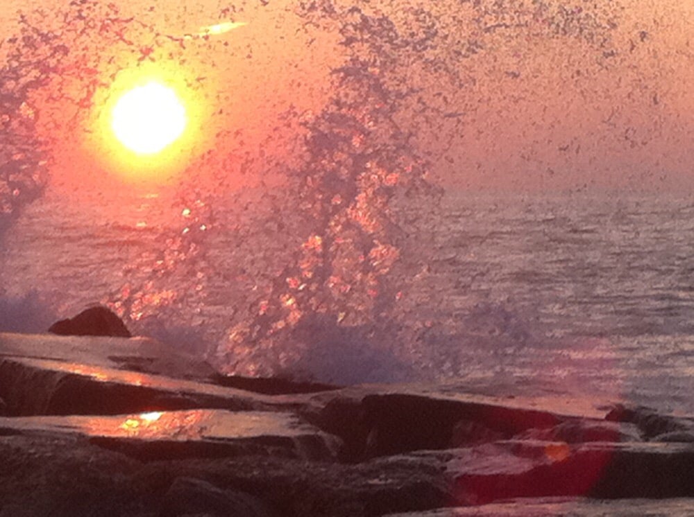 Magic M.'s profile image