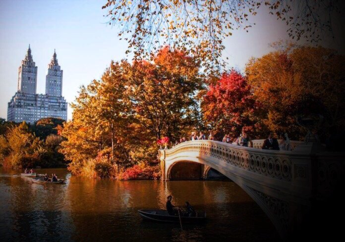 Faith C.'s profile image