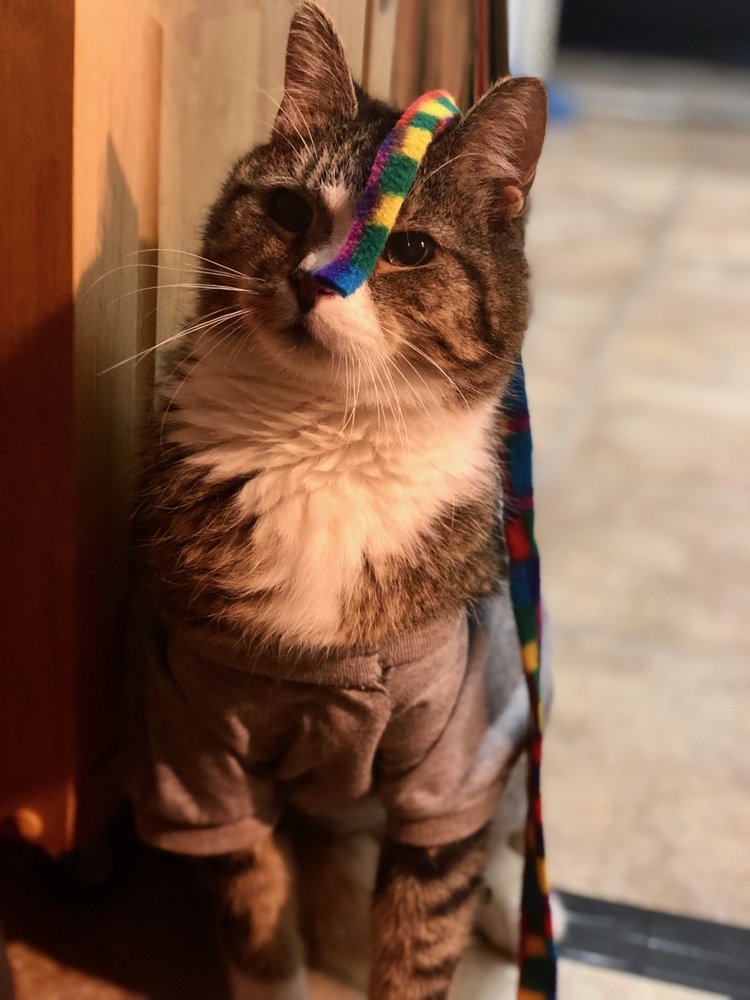 Pamela S.'s profile image