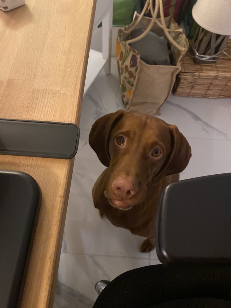 Mary F.'s profile image