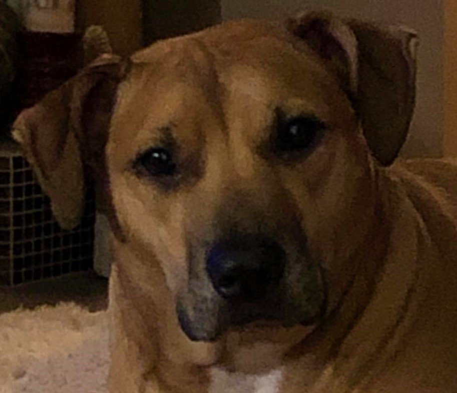 Pennie Y.'s profile image