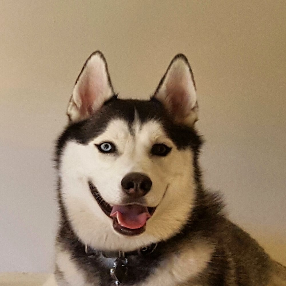 Sandra F.'s profile image