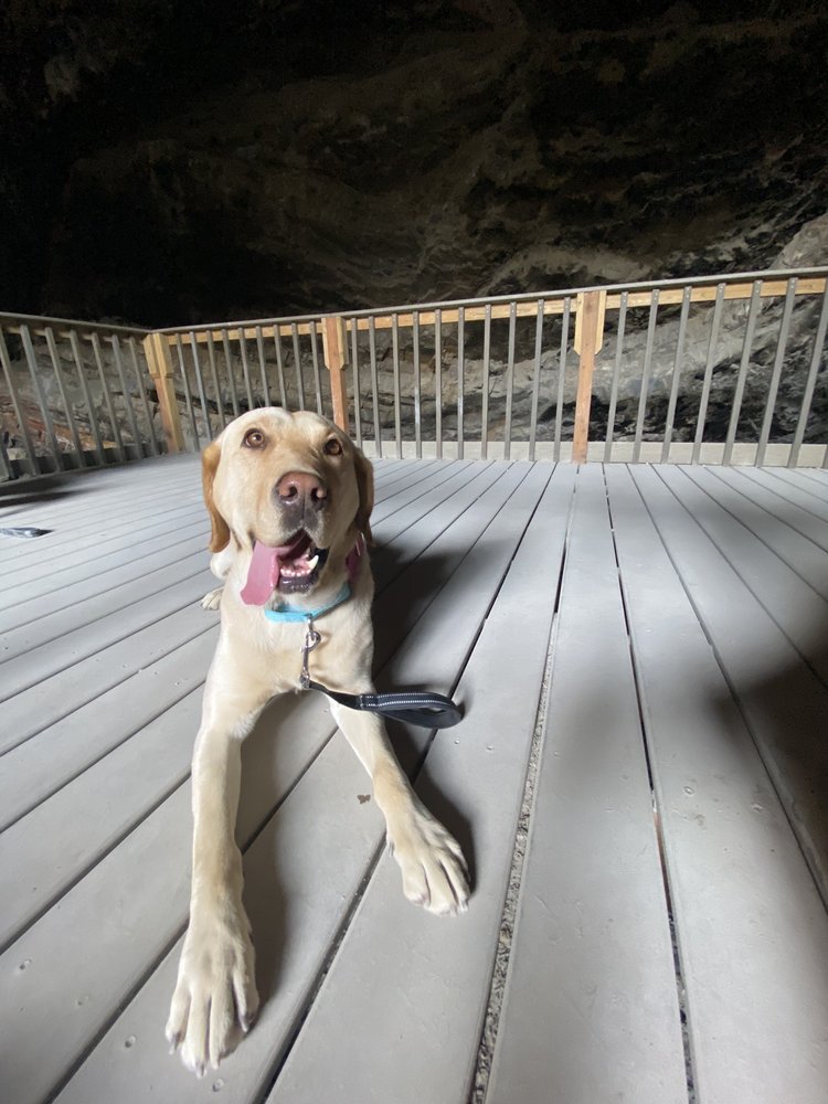 Jazmine G.'s profile image