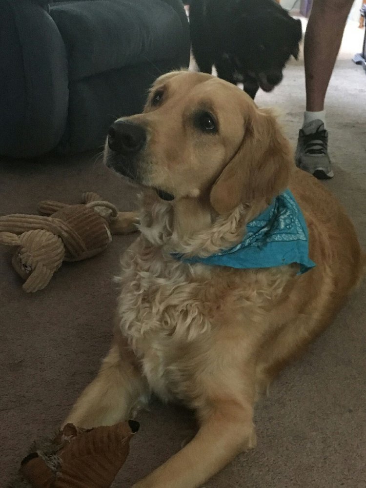 Debbie H.'s profile image