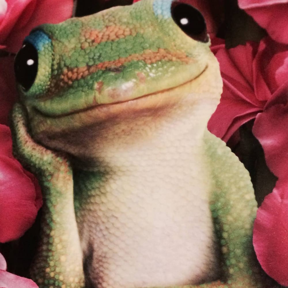 Tammy F.'s profile image