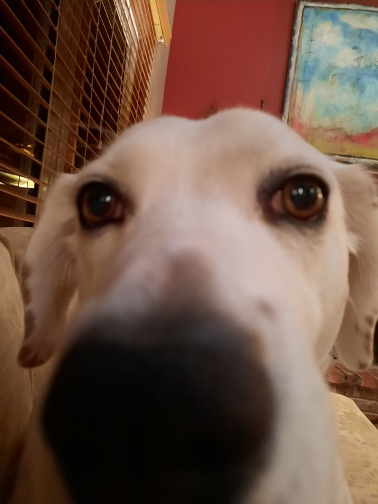 David L.'s profile image